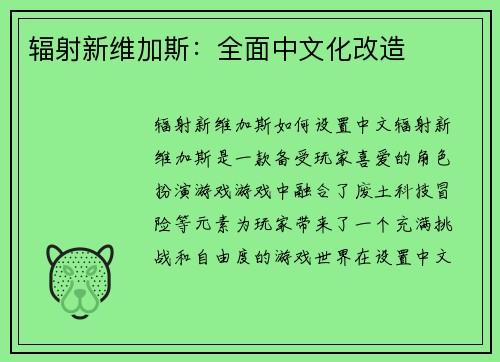 辐射新维加斯：全面中文化改造